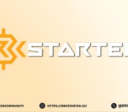BRCStarter, a BRC-20 focused launchpad, after raising over 1M$ in Private and Public rounds, announces that it will launch its token on Tier-1 Exchange