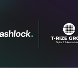 Hashlock Audits Groundbreaking Decentralized Profile Smart Contracts for T-Rize Group and their Rizenet Governance Token (“RIZE”) smart contracts.