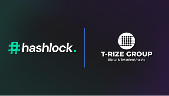 Hashlock Audits Groundbreaking Decentralized Profile Smart Contracts for T-Rize Group and their Rizenet Governance Token (“RIZE”) smart contracts.