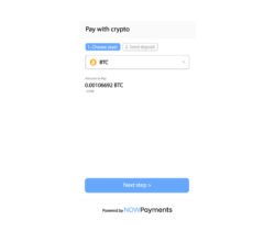 NOWPayments Introduces New Payment Widget as a New Year Gift for Merchants