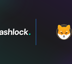 Hashlock Completes Shiba Classic Audit