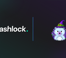 Press Release: Hashlock Completes a Token Smart Contract Audit for Hedgecast AI