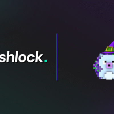 Press Release: Hashlock Completes a Token Smart Contract Audit for Hedgecast AI