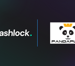 Press Release: PandaPump group partnered with Hashlock to conduct a security audit of their smart contracts.